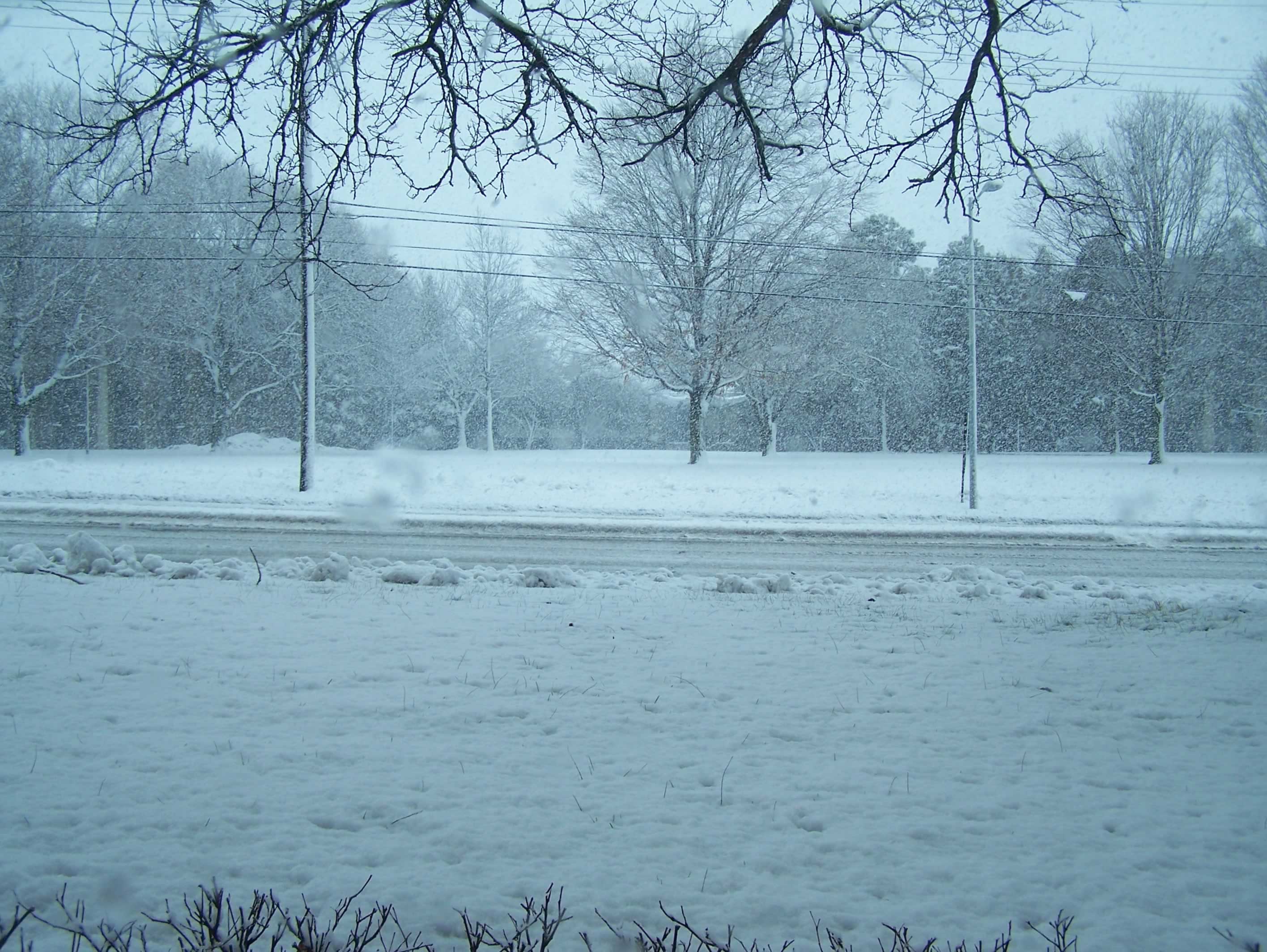 A snowy scene with a blue-grey overcast sky. Twigs are barely visible poking through the snow, and the right sides of tree trunks are coated in snow. Smudges of water obscure small parts of the frame, as snow hits the camera. A road with powerlines next to it runs from left to right, lightly plowed.