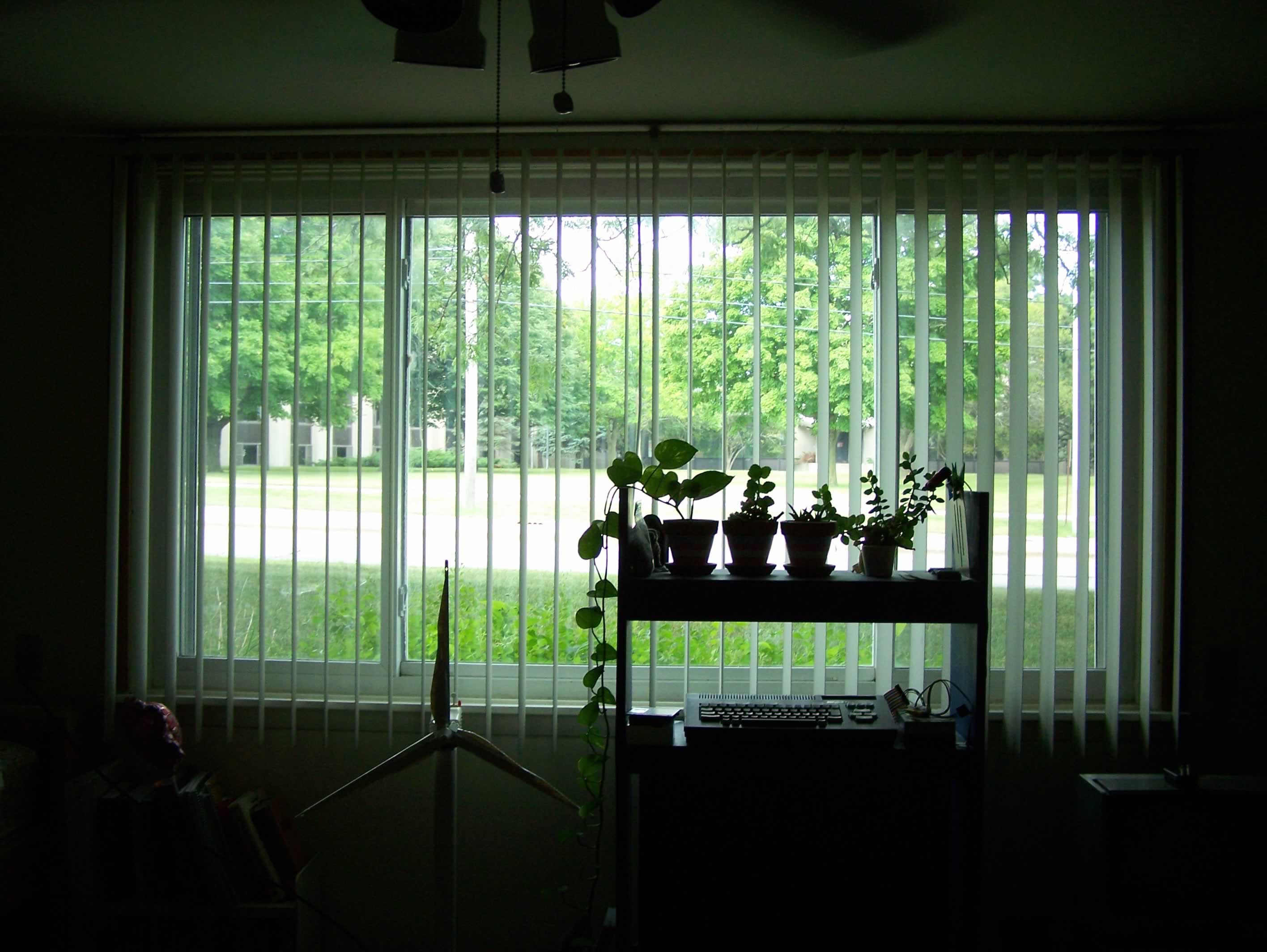 Green foliage radiates through a window into a contrastly dark room.  Vertical blinds break up the foliage.  Inside, a shelf with four small houseplants and a keyboard sits in view, as well as a model of a wind turbine.